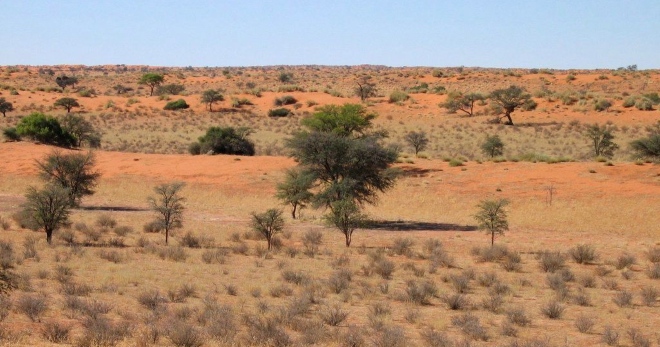 pierderea în greutate a deșertului kalahari