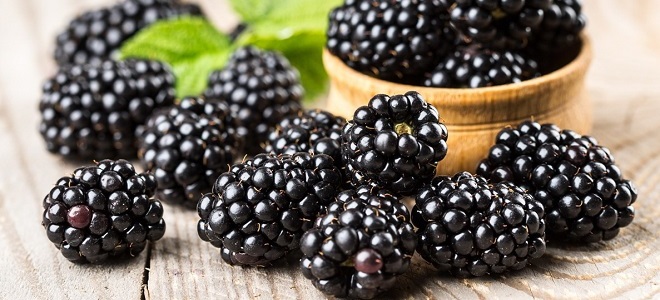 blackberry hipertenzija