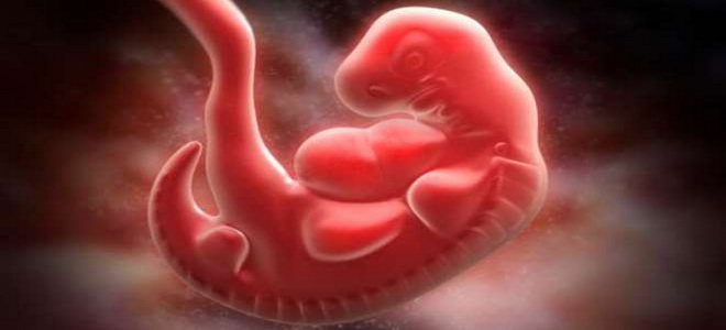 Олар бірге оны оргазмға әкелді. Фетишпен жүрудің төменгі көрінісі